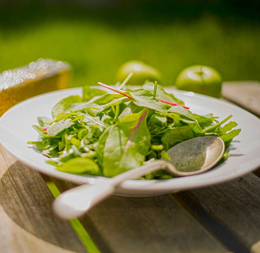 EatGreen-2.jpg